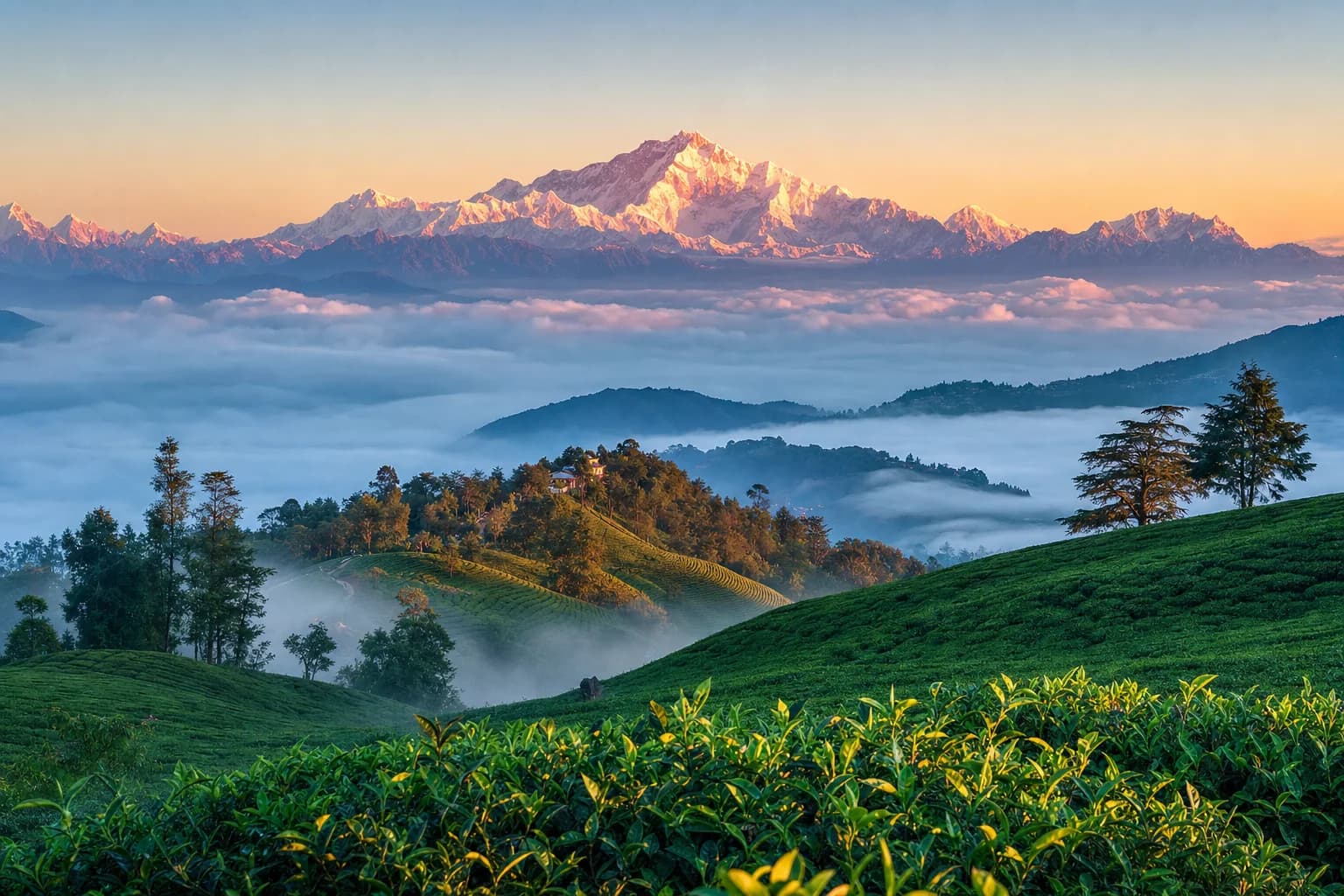 Sikkim & Darjeeling Himalayan Tour